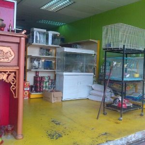 TOP 7 Kedai Aquarium Klang Terbaik